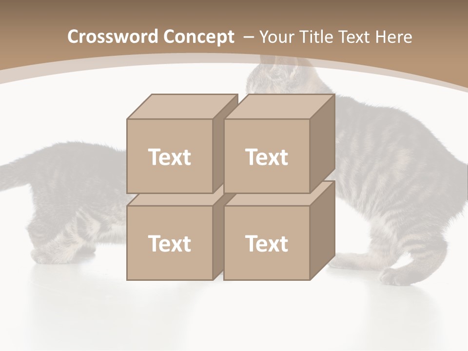 Pussy Postcard Front PowerPoint Template