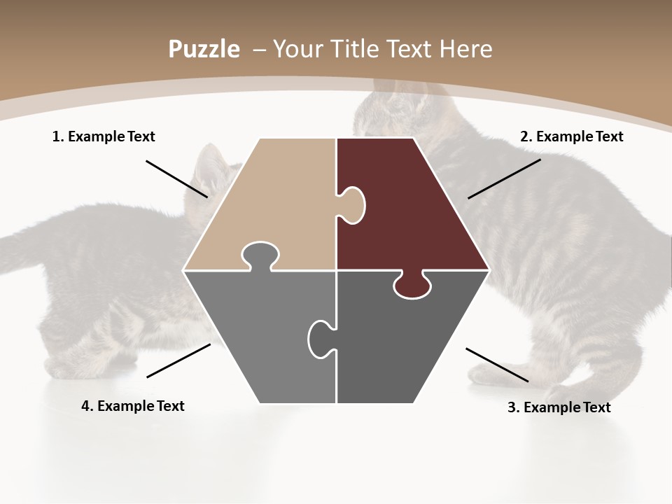 Pussy Postcard Front PowerPoint Template