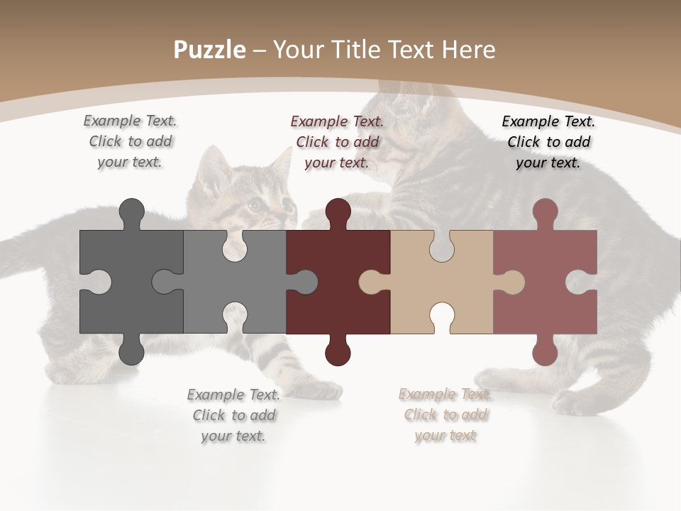 Pussy Postcard Front PowerPoint Template