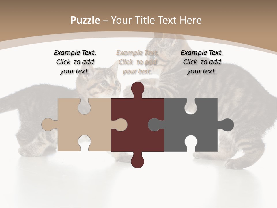 Pussy Postcard Front PowerPoint Template