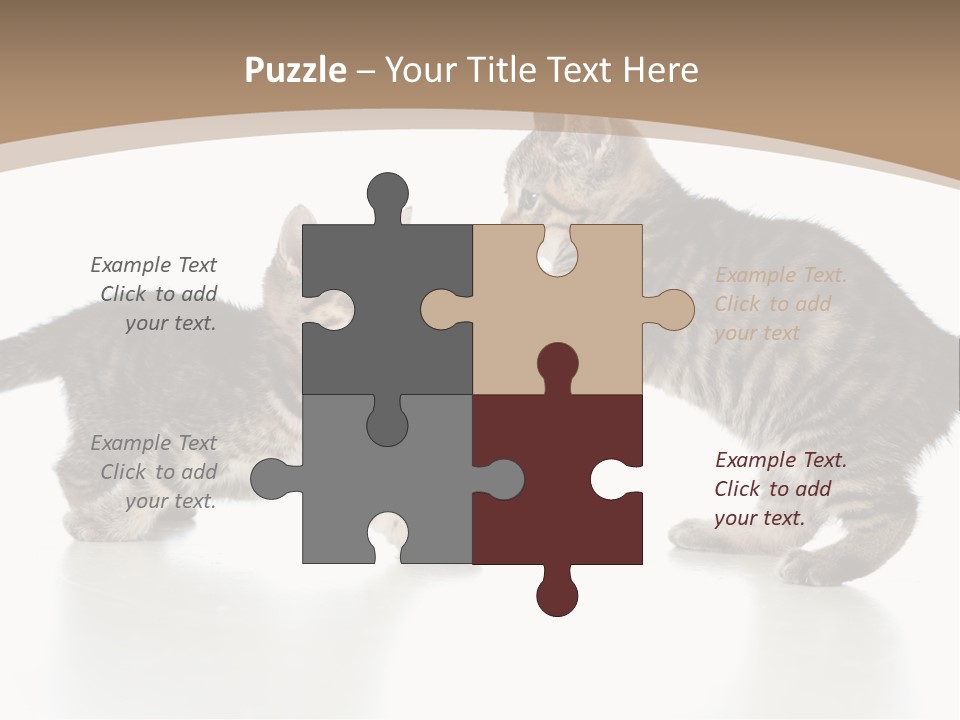 Pussy Postcard Front PowerPoint Template