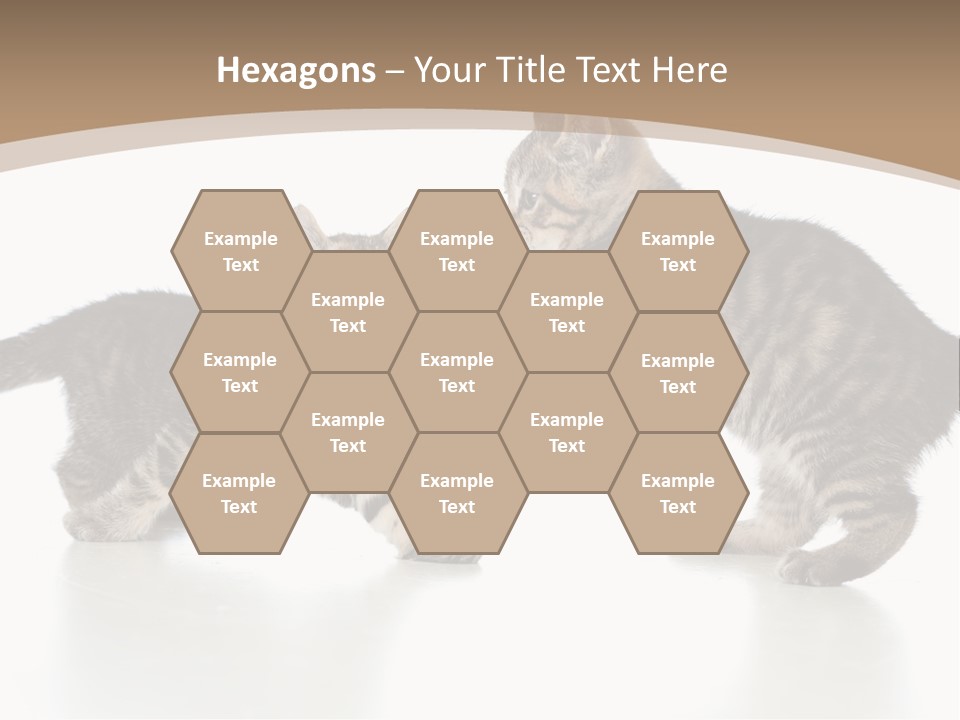 Pussy Postcard Front PowerPoint Template