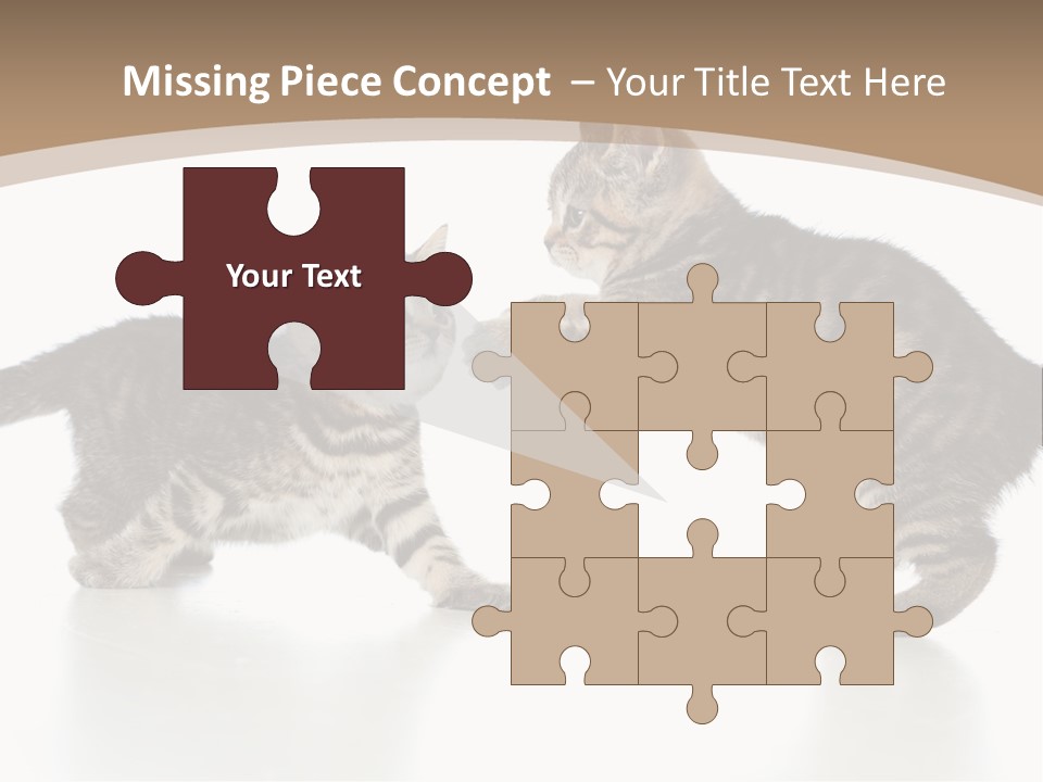 Pussy Postcard Front PowerPoint Template