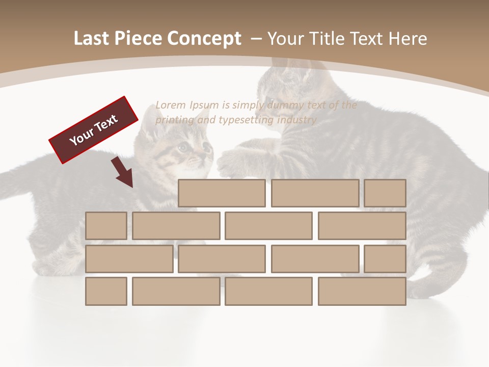 Pussy Postcard Front PowerPoint Template