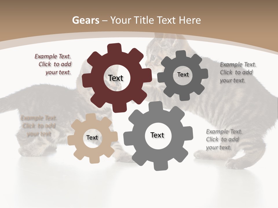 Pussy Postcard Front PowerPoint Template