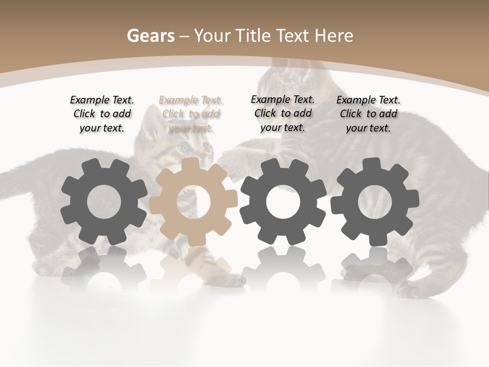 Pussy Postcard Front PowerPoint Template