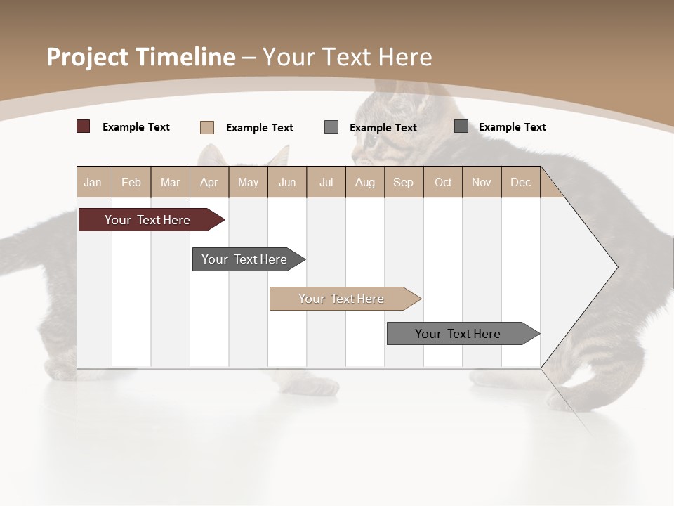 Pussy Postcard Front PowerPoint Template