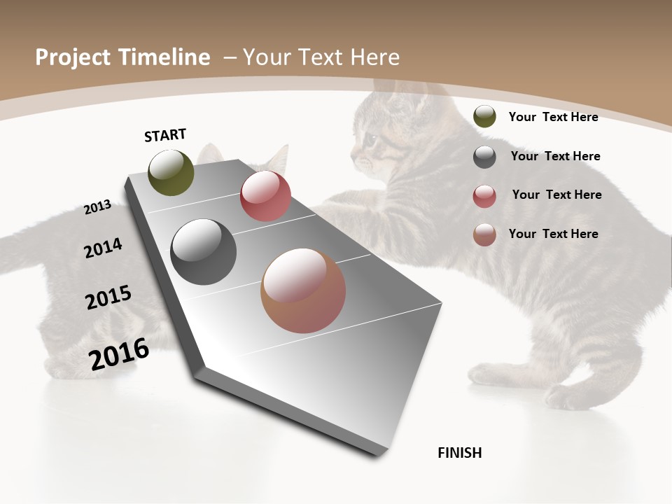 Pussy Postcard Front PowerPoint Template