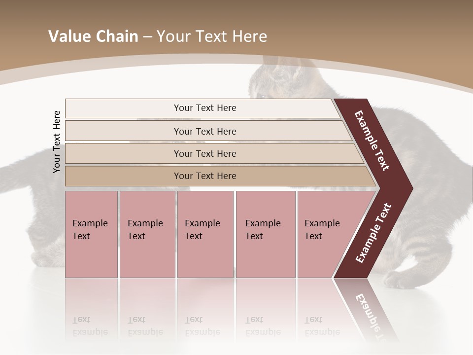 Pussy Postcard Front PowerPoint Template