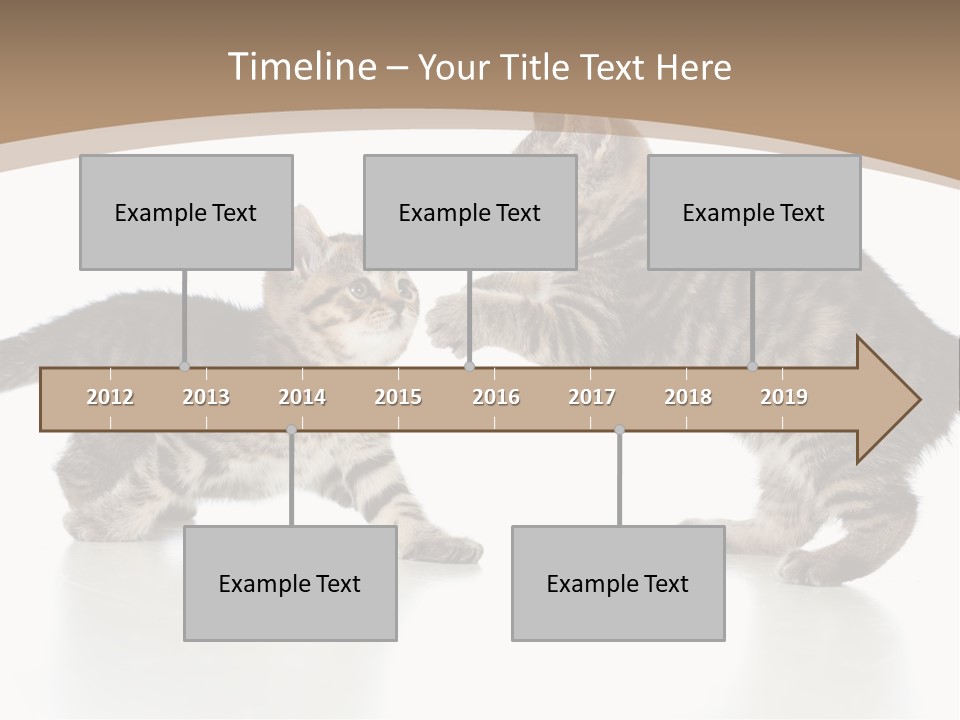 Pussy Postcard Front PowerPoint Template