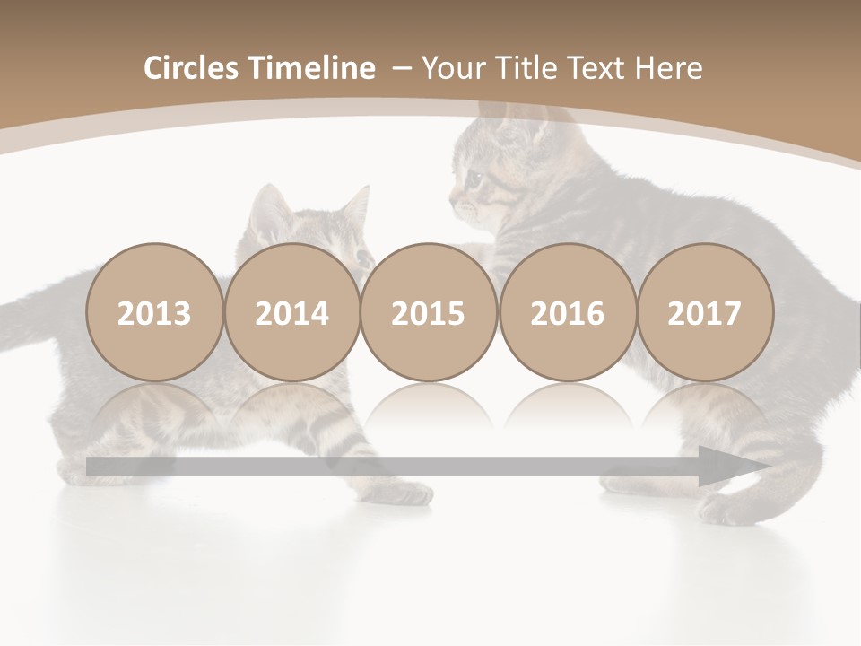 Pussy Postcard Front PowerPoint Template