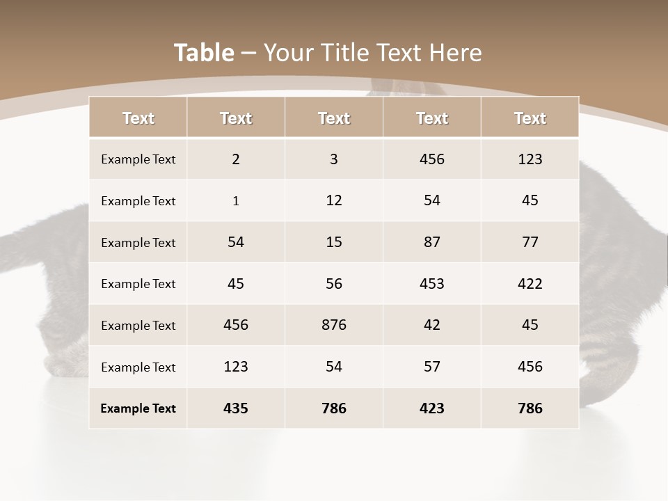 Pussy Postcard Front PowerPoint Template