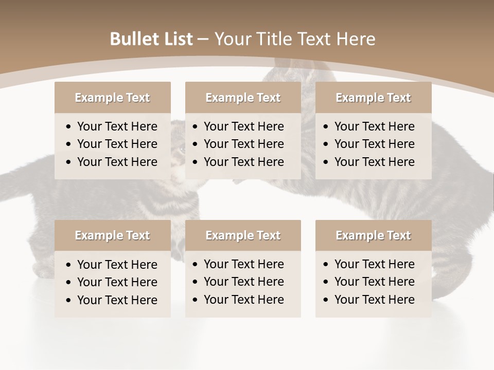 Pussy Postcard Front PowerPoint Template