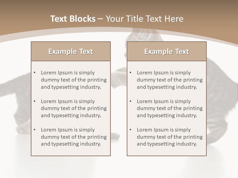 Pussy Postcard Front PowerPoint Template