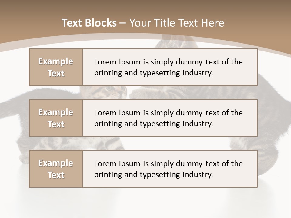 Pussy Postcard Front PowerPoint Template