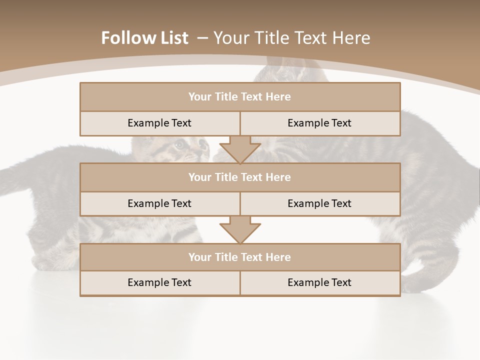 Pussy Postcard Front PowerPoint Template