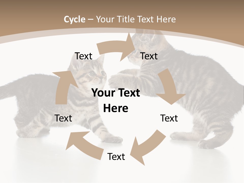 Pussy Postcard Front PowerPoint Template