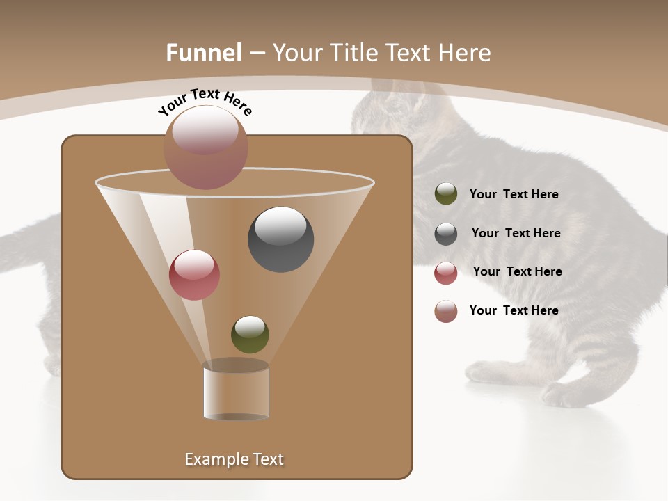 Pussy Postcard Front PowerPoint Template