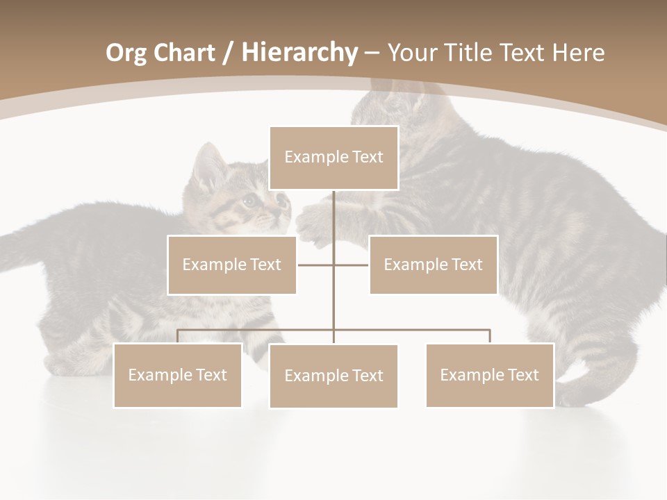 Pussy Postcard Front PowerPoint Template