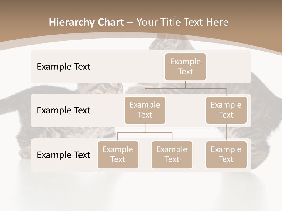 Pussy Postcard Front PowerPoint Template