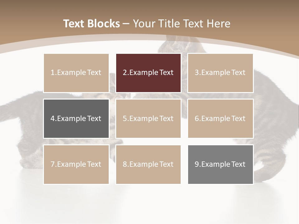 Pussy Postcard Front PowerPoint Template