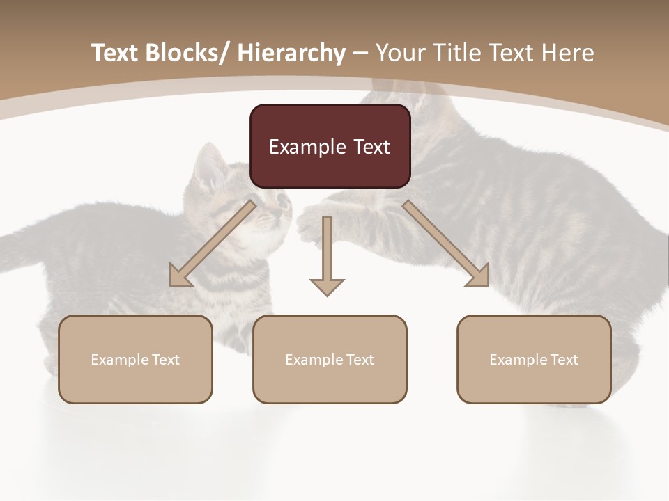 Pussy Postcard Front PowerPoint Template