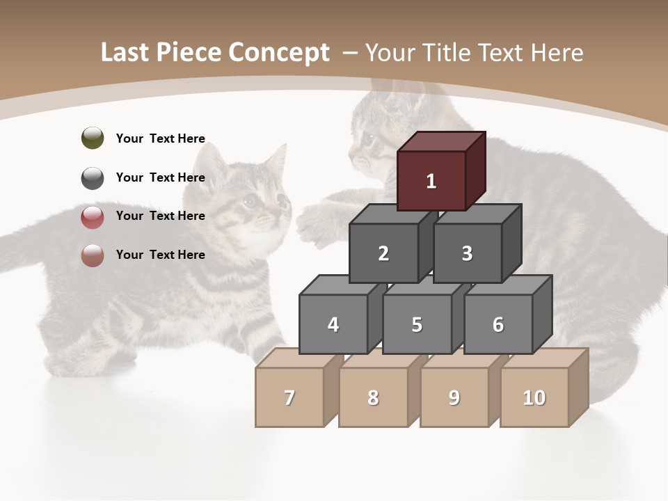 Pussy Postcard Front PowerPoint Template