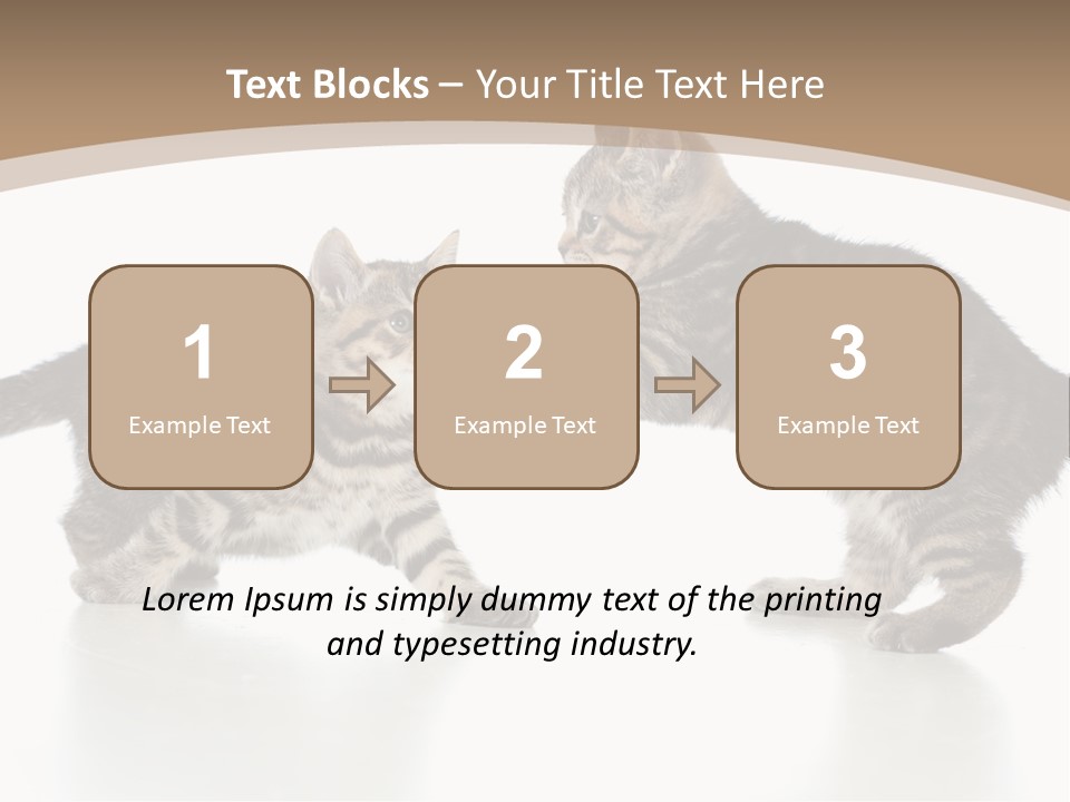 Pussy Postcard Front PowerPoint Template