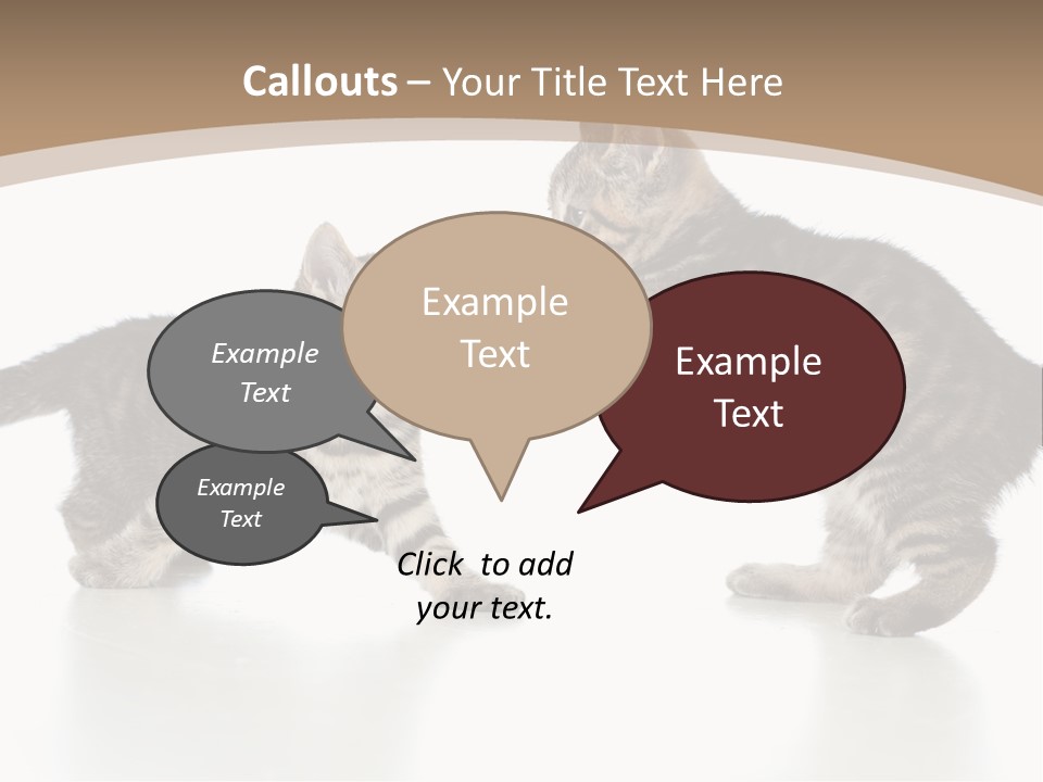 Pussy Postcard Front PowerPoint Template