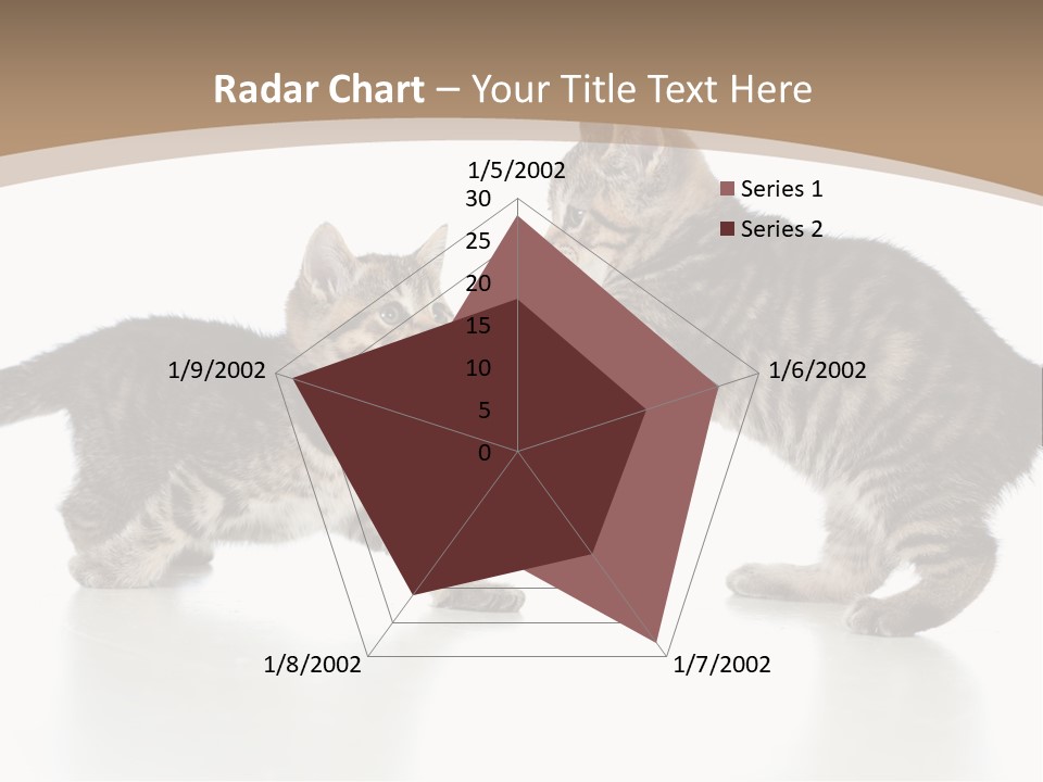 Pussy Postcard Front PowerPoint Template