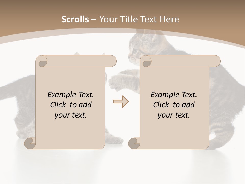 Pussy Postcard Front PowerPoint Template