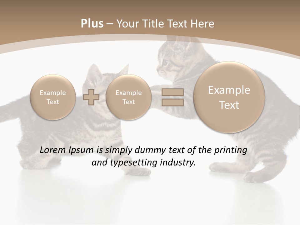 Pussy Postcard Front PowerPoint Template