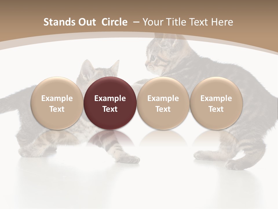 Pussy Postcard Front PowerPoint Template