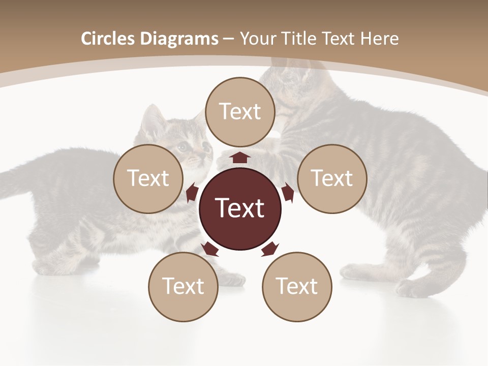 Pussy Postcard Front PowerPoint Template