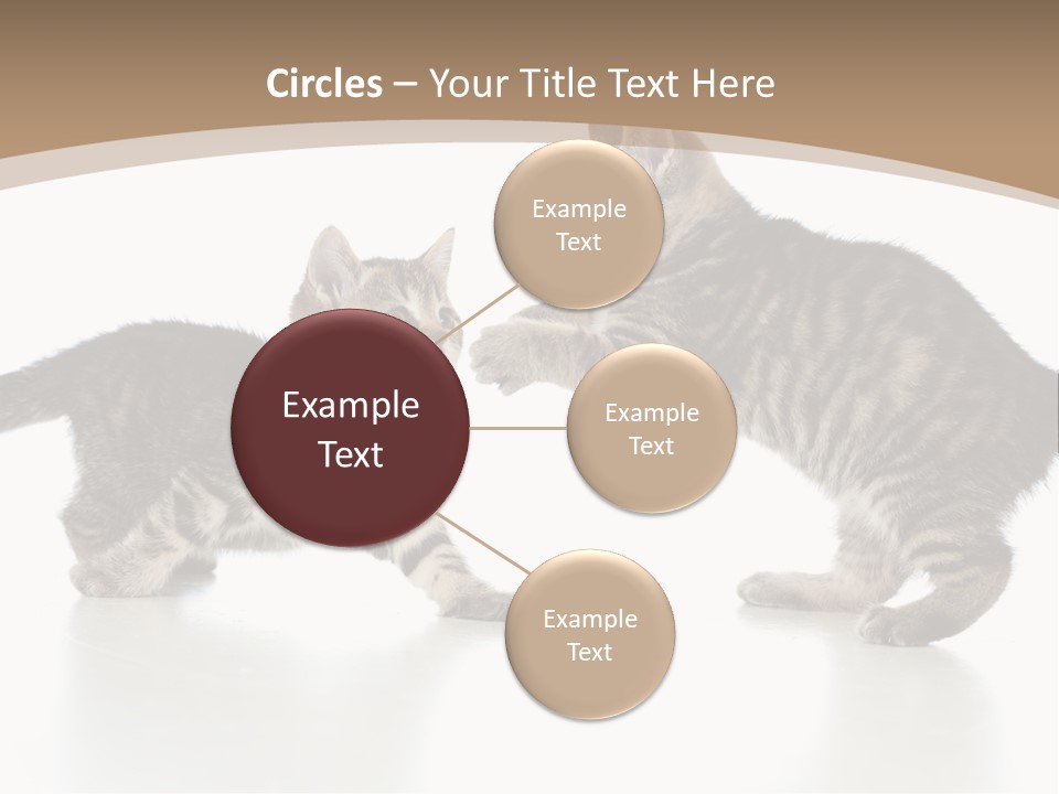 Pussy Postcard Front PowerPoint Template