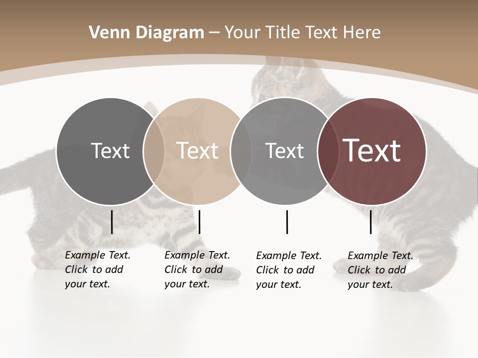 Pussy Postcard Front PowerPoint Template