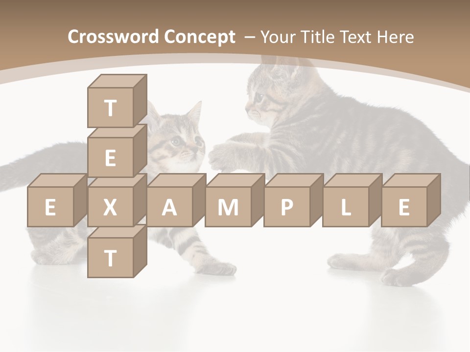 Pussy Postcard Front PowerPoint Template