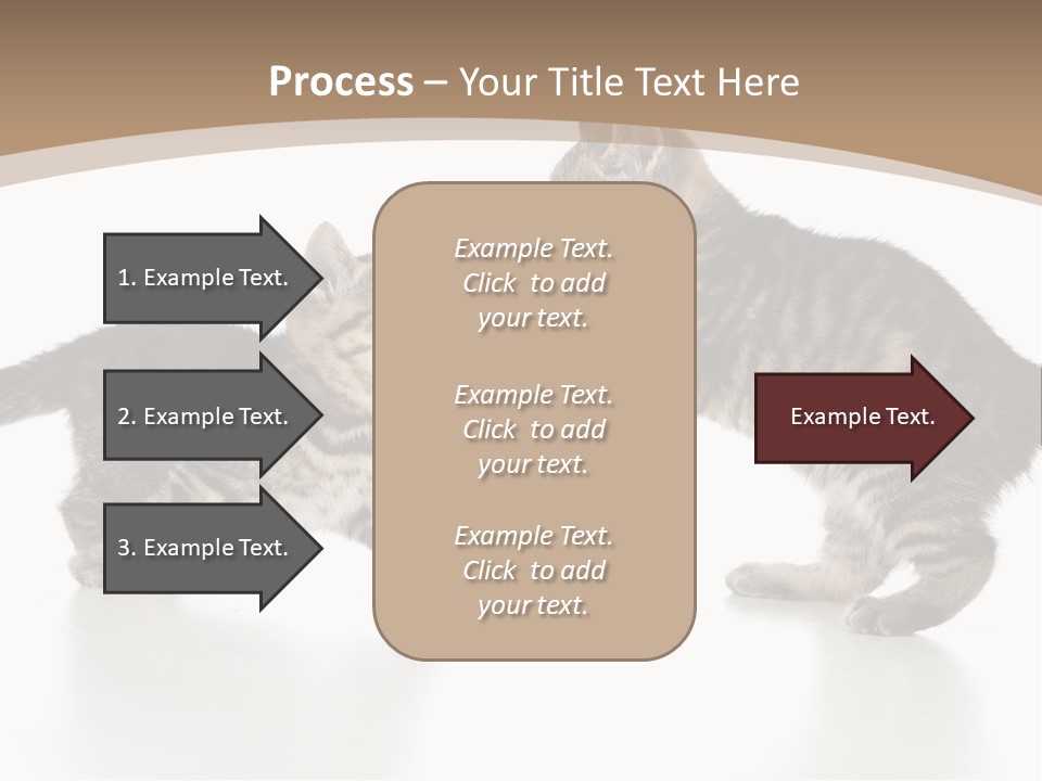 Pussy Postcard Front PowerPoint Template