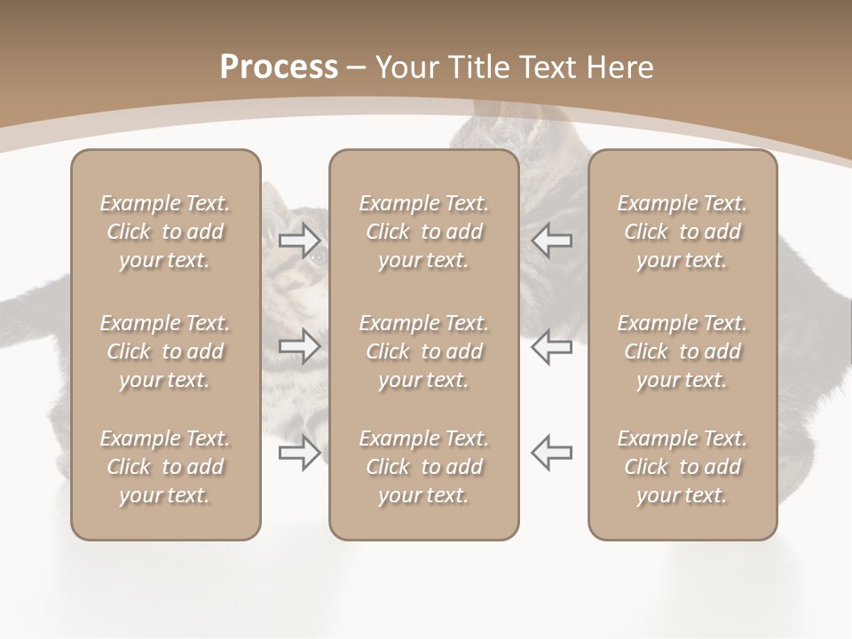 Pussy Postcard Front PowerPoint Template