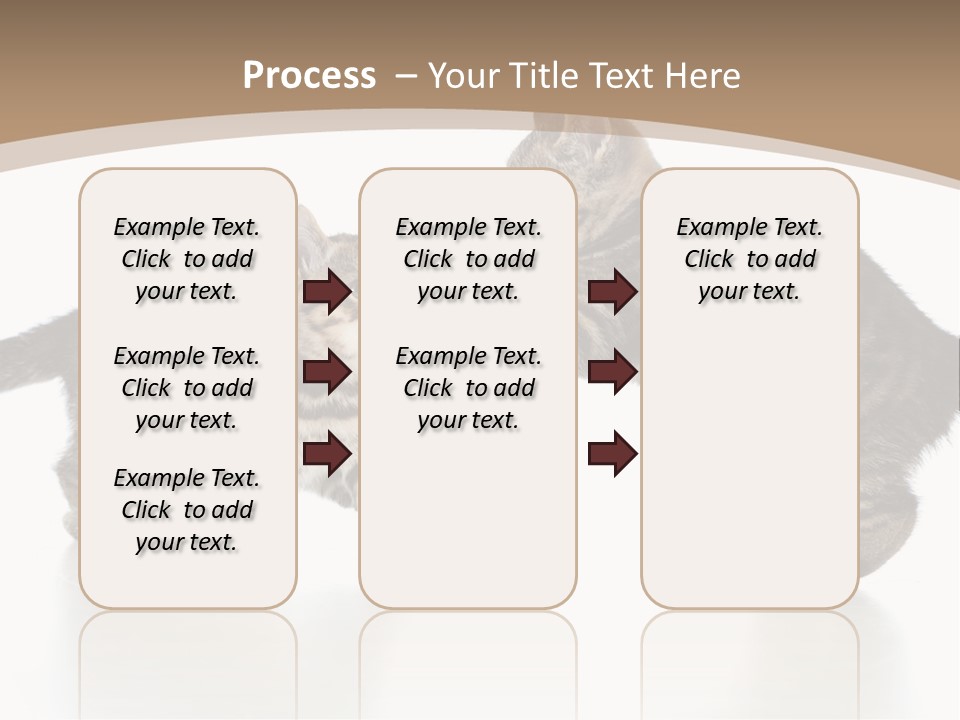 Pussy Postcard Front PowerPoint Template