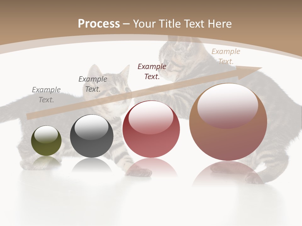 Pussy Postcard Front PowerPoint Template