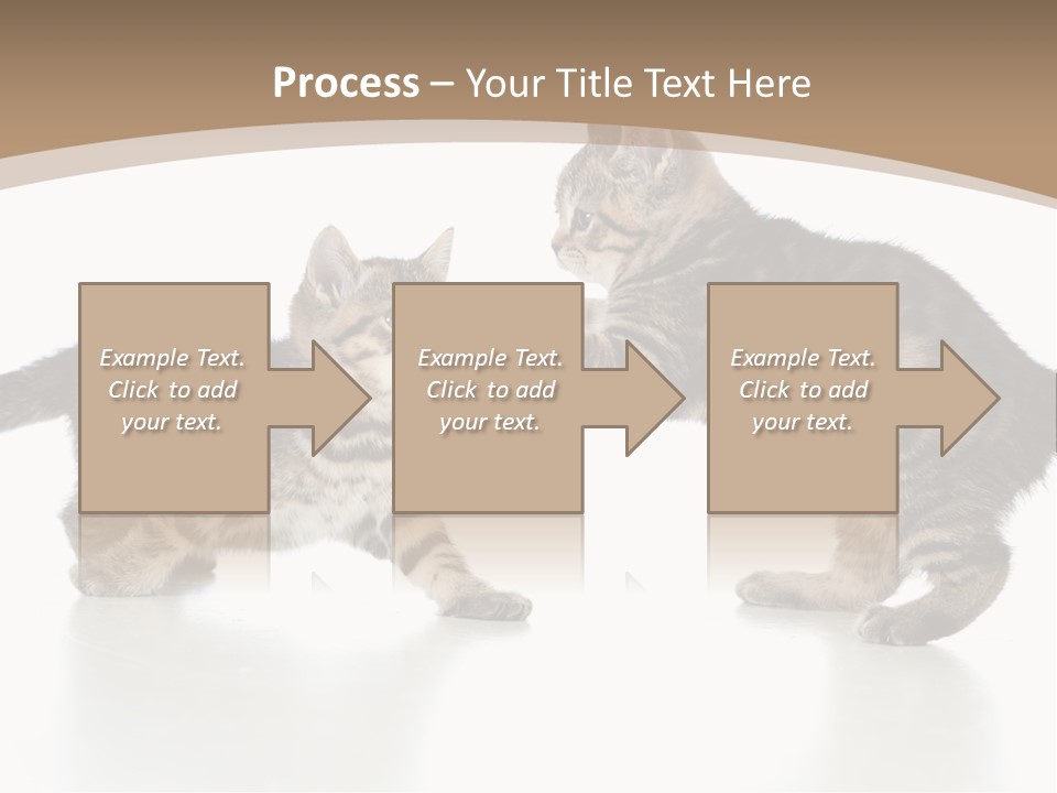 Pussy Postcard Front PowerPoint Template