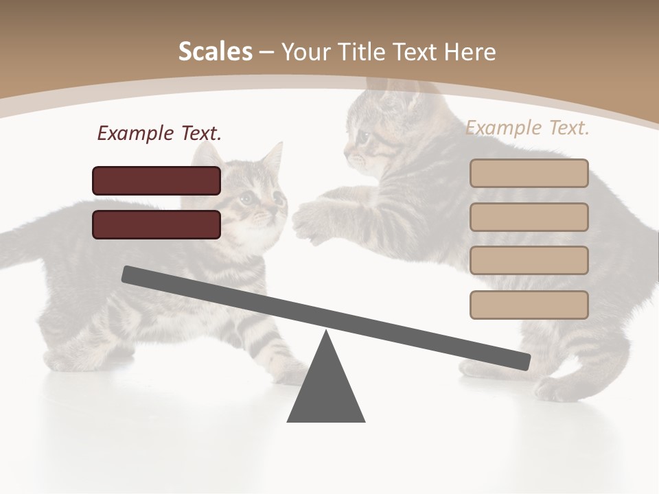 Pussy Postcard Front PowerPoint Template