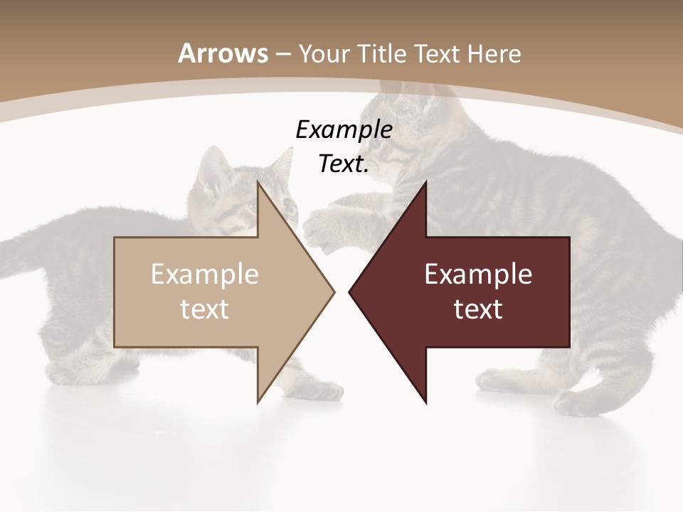 Pussy Postcard Front PowerPoint Template