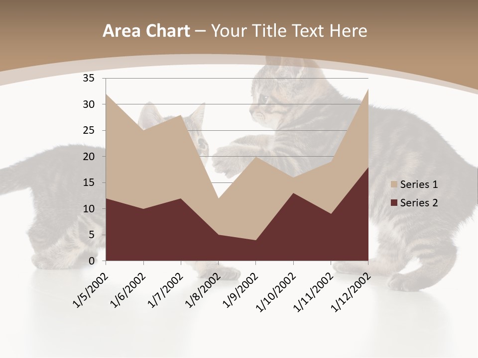 Pussy Postcard Front PowerPoint Template