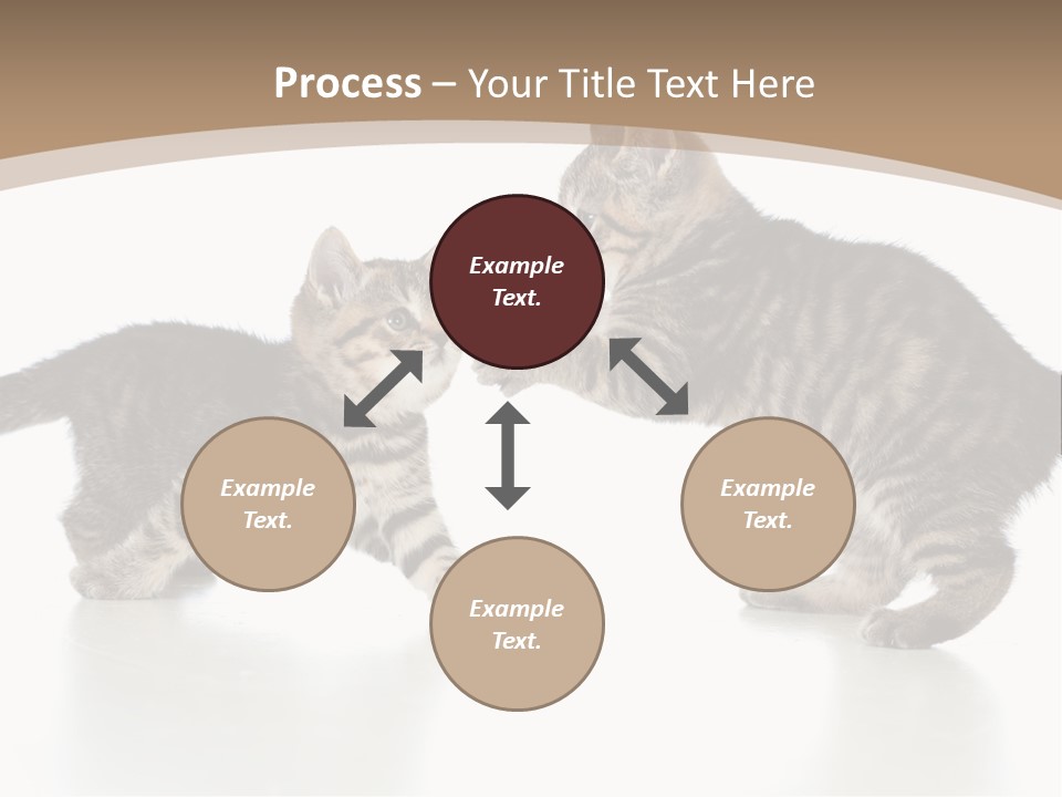 Pussy Postcard Front PowerPoint Template