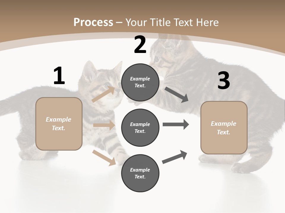 Pussy Postcard Front PowerPoint Template