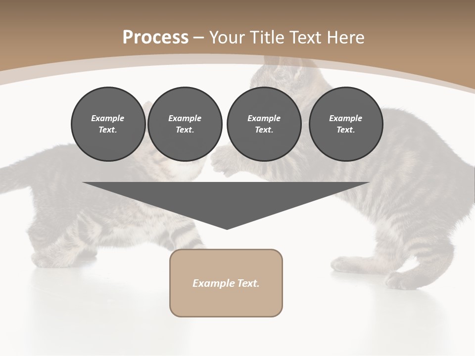 Pussy Postcard Front PowerPoint Template