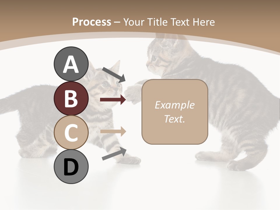 Pussy Postcard Front PowerPoint Template