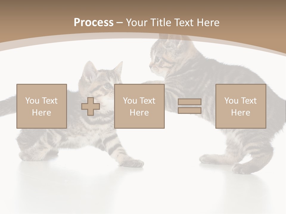 Pussy Postcard Front PowerPoint Template